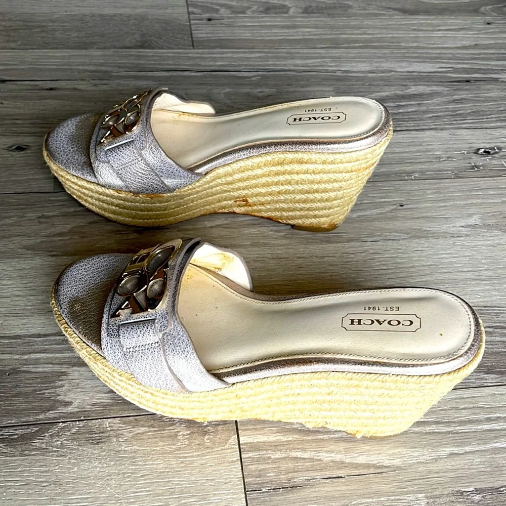 Coach silver platform